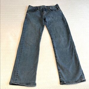 GAP Kids Size 16 Boys Straight Jeans in Denim Blue